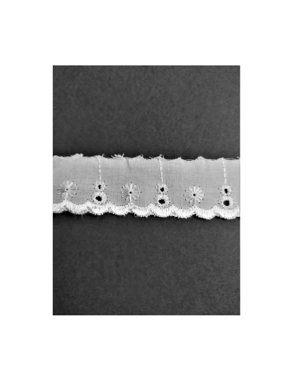 Puntilla de tela bordada (modelo F)