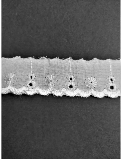 Puntilla de tela bordada (modelo F)
