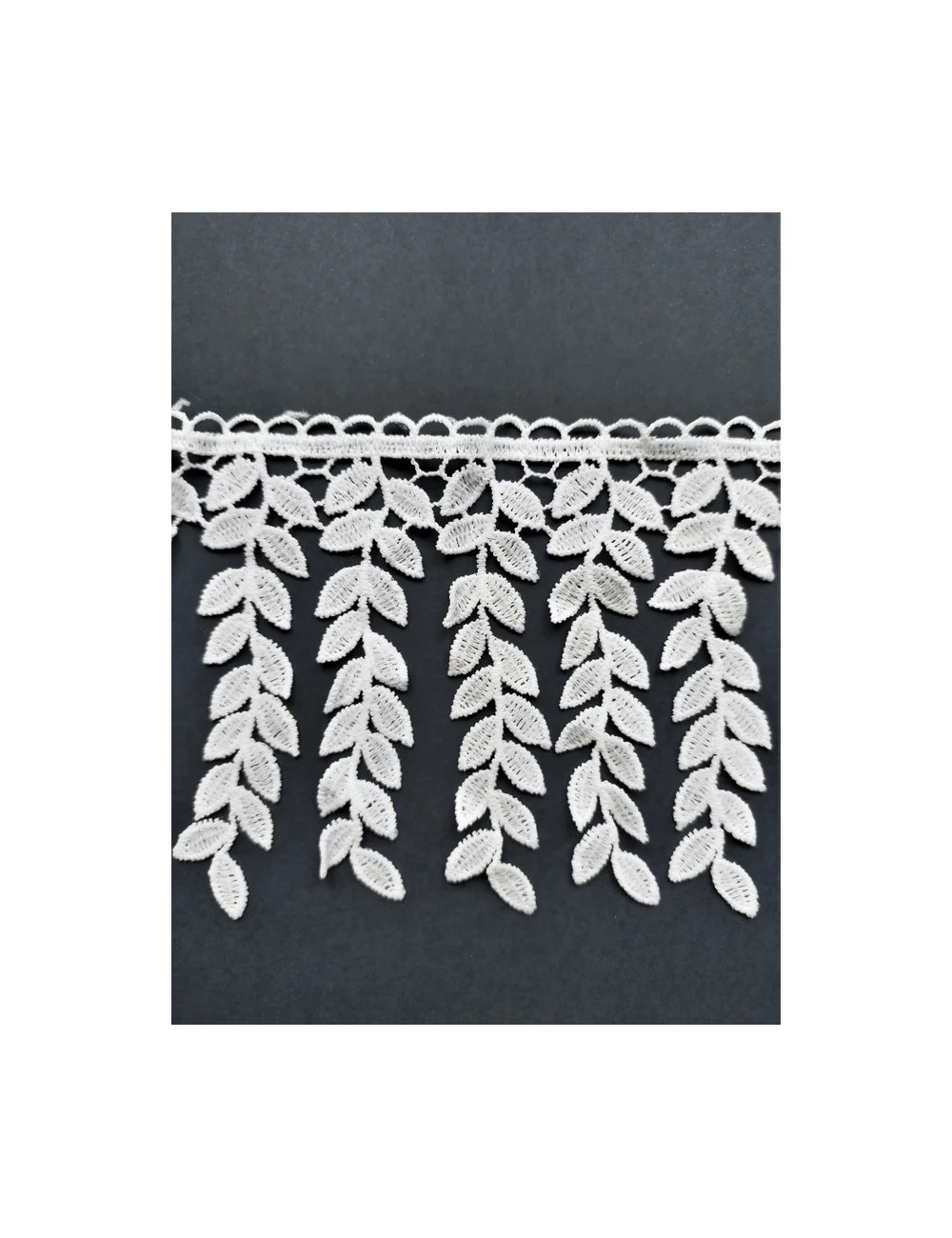 Puntilla de algodón (modelo T)